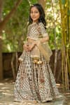 YUVRAANI JAIPUR_Gray Muslin, Cotton, Net Tassels, Sequins, Embroidery Floral Printed Lehenga Set _Online_at_Aza_Fashions