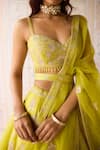 Buy_Shyam Narayan Prasad_Green Silk, Organza Embroidery, Applique V-neck Spring Lehenga Set 