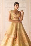 Shop_Shyam Narayan Prasad_Yellow Silk, Organza Sequins, Beads, Embroidery Acacia Applique Lehenga Set _Online_at_Aza_Fashions