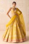 Buy_Shyam Narayan Prasad_Yellow Silk, Organza Embroidery, Applique Dandelion Classic Lehenga Set _at_Aza_Fashions
