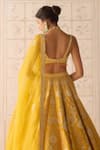 Buy_Shyam Narayan Prasad_Yellow Silk, Organza Embroidery, Applique Dandelion Classic Lehenga Set 