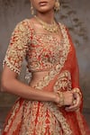 Buy_Adi By Aditya Khandelwl_Rust , Organza, Taffeta Embroidery, Pearls, Orange Hand Lehenga Set 
