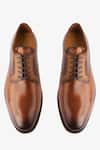 Shop_Whitemuds_Tan Dover Brown Derby Shoes _at_Aza_Fashions