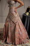 Buy_Moledro_Taupe Organza, Net Sequins, Embroidery Sweetheart Neck And Pink Nova Lehenga Set 