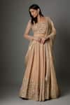 FATIZ_Gold Tissue, Georgette, Silk Sequins, Embroidery Round Champagne Lehenga Set _Online_at_Aza_Fashions