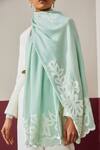 SHAZA_Mint Handloom Pashmina Stole_Online_at_Aza_Fashions