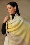 Shop_SHAZA_Yellow Pardah Stole In Lemon _at_Aza_Fashions