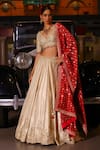 Buy_Sabe_Gold Tissue, Silk Sequins, Beads, Embroidery V-neck Designer Safa Lehenga Set _Online_at_Aza_Fashions