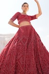Shop_House Of Sikka_Red Net Beads, Sequins, Embroidery Round Neck Rose Designer Lehenga Set _at_Aza_Fashions