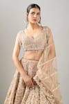 Kalighata_Gold Sequins, Embroidery, Beads V-neck Midaas Lehenga Set _at_Aza_Fashions