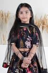 Mamma Plz_Black Chanderi Handwoven Lehenga Set _Online_at_Aza_Fashions