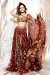 Buy_Mahima Mahajan_Red Organza Mirrors, Sequins, Beads, Embroidery V-neck Lehenga Set _at_Aza_Fashions