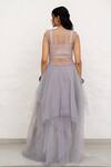 Shop_Chambray & CO._Gray Tulle, Cotton, Silk Embroidery, Applique Grey Layered Dress With Bustier _at_Aza_Fashions