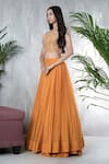 Vara By Vibha N Priti_Mustard Chiffon, Organza Tassels, Embroidery Round Hand Jacket Lehenga Set _Online