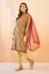 Shop_Nero India_Brown Chanderi Embroidery Mul Dupatta _at_Aza_Fashions