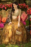 Buy_Mahima Mahajan_Gold Organza Sequins, Zari, Embroidery V-neck Designer Lehenga Set 