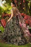 Shop_Mahima Mahajan_Green Organza Sequins, Embroidery Round Neck Pine Lehenga Set _at_Aza_Fashions