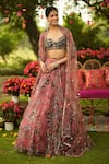 Buy_Mahima Mahajan_Wine Organza Sequins, Zari Round Neck Embroidered Lehenga With Blouse _Online