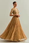 Ikshita Choudhary_Gold Organza Embroidery V-neck Hand Lehenga Set _Online_at_Aza_Fashions