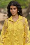 Shop_Dash And Dot_Yellow Polyester Embroidery Collared Lemon Organza Lace Dress _Online_at_Aza_Fashions