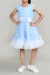 Petite Pomme_Blue Net, Satin Fabric Flowers Embellished Fit And Flared Dress _Online_at_Aza_Fashions