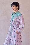 Taro_Purple Chanderi Silk Embroidery Collared Lilac Dot Meadow Dress _Online_at_Aza_Fashions