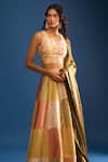 Samyukta Singhania_Multi Color Brocade, Silk Embroidery Round Neck Lehenga Set _at_Aza_Fashions