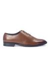 Domani_Tan Classic Wholecut Derby Shoes _Online_at_Aza_Fashions