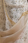 Buy_Dressfolk_Ivory Organza Embroidery Floral Saree With Blouse _Online_at_Aza_Fashions