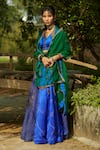 Buy_Medha_Blue Silk, Tissue, Organza Embroidery Bright And Green Handwoven Chiniya Set _at_Aza_Fashions