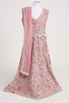 Shop_Minime Organics_Pink Georgette, Net Lace Light Embroidered Lehenga Set _at_Aza_Fashions