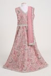 Buy_Minime Organics_Pink Georgette, Net Lace Light Embroidered Lehenga Set _at_Aza_Fashions