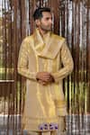 Buy_Hilo Design_Gold Embroidery Tissue Kanjivaram Set _Online_at_Aza_Fashions