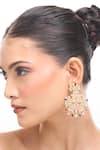 Nazaakat By Samara Singh_Multi Color Crystals, Stones American Diamond Earrings _at_Aza_Fashions
