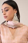Buy_Roohbyridhimaa_Peach Silk Organza, Silk, Chanderi Dillagi Hand Embroidered Kurta Gharara Set 