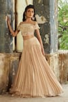 Shop_Piri India_Beige Net, Satin, Organza Embroidery Boat Neck 3d Lehenga Set _Online_at_Aza_Fashions
