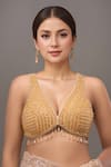 Buy_Samyukta Singhania_Gold Silk Crystals V-neck Padded Embellished Blouse _at_Aza_Fashions