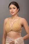 Shop_Samyukta Singhania_Gold Silk Crystals V-neck Padded Embellished Blouse _Online_at_Aza_Fashions