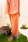 Shop_The White Tree Studio_Peach Chanderi Applique Round Neck Two Tone Co-ord Set 