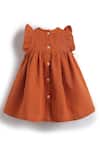 Tiber Taber_Rust Cotton Embroidery, Lace Dress Set _Online