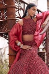 Buy_Mehul Gupta_Red Net, Organza Sequins, Embroidery Round Neck Hand Lehenga Set 