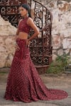 Shop_Mehul Gupta_Red Net, Organza Sequins, Embroidery Round Neck Hand Lehenga Set 