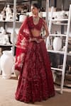 Buy_Mehul Gupta_Red Net Beads, Embroidery V-neck Hand Lehenga Set 