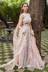 Mehul Gupta_Ivory Net, Lycra Embroidery, Tassels Round Neck And Pink Hand Lehenga Set _at_Aza_Fashions