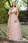 Buy_Mehul Gupta_Ivory Net, Lycra Embroidery, Tassels Round Neck And Pink Hand Lehenga Set _at_Aza_Fashions