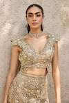 Mehul Gupta_Gold Net Embroidery, Sequins V-neck Hand Skirt Set _Online_at_Aza_Fashions