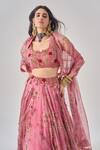 Shop_Ridhima Bhasin_Pink Organza, Crepe Embroidery Round Neck Designer Rahi Lehenga Set _Online_at_Aza_Fashions