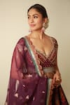 Torani_Purple Jersey, Organza Tassels, Embroidery V-neck Dil Kusha Zaiba Anarkali Set _Online_at_Aza_Fashions