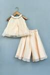 Shop_Label Neeti_Beige Organza Zari Champagne Gold Co-ord Set _at_Aza_Fashions