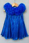 Shop_Label Neeti_Blue Lycra, Organza Royal Pleated Party Dress _at_Aza_Fashions